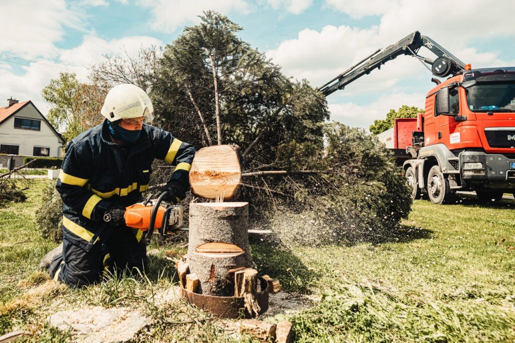 Hombre con protección cortando un arbol con una motosierra