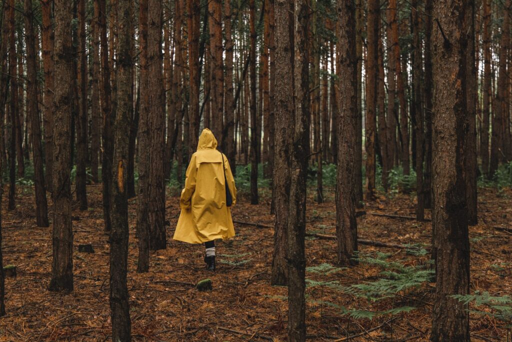 persona caminando por el bosque